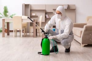 Top 5 Questions to Ask Before Hiring a Pest Control Service in Tulsa