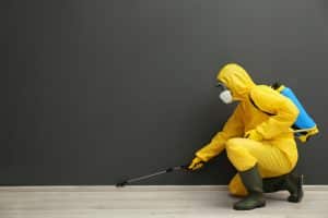 Exterminator Tulsa